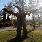 Podere Battegone Дом отдыха