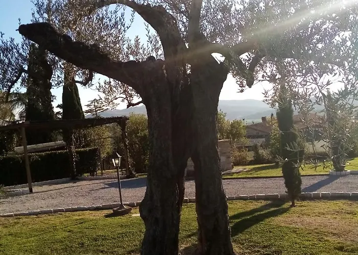 Podere Battegone Holiday home